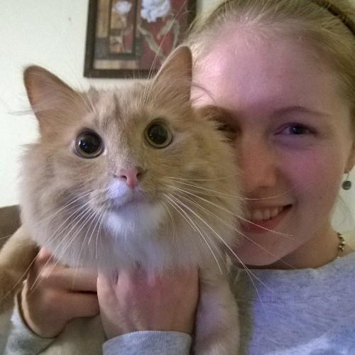 AReisty16's profile picture. Knowing is not enough; we must apply. Willing is not enough; we must do.