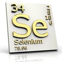 Science & Music