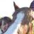 sarahslade49's profile image