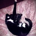 Elizabeth Bradford - @LizzieBeanTilly - Twitter