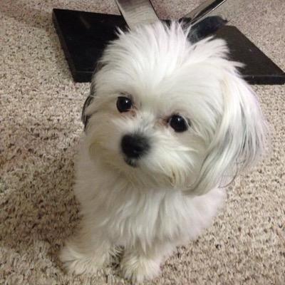 Halloweener78's profile picture. True Saskatchewan!