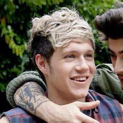 I saw you tweeted Niall to follow you. I got his follow on my main account @Zerriesbestman. go and follow my main acc bc I do dms a lot :)