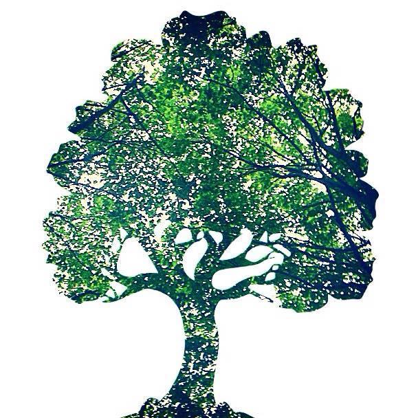 poundstretchers's profile picture. February 2015 Micro-Tyco team