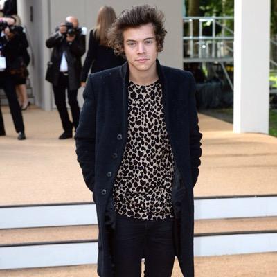 harry styles street style