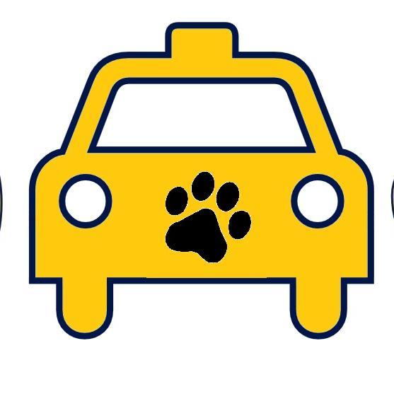taxicanmx's profile picture. Taxican es un servicio especializado en el traslado terrestre de mascotas en la Ciudad de México.