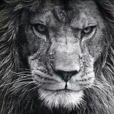 ApieB1976's profile picture. 