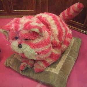 sasasachos's profile picture. 健康第一。そこそこ長寿ライフ。