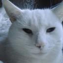 Jayne Parsons - @jayneefc_jayne - Twitter