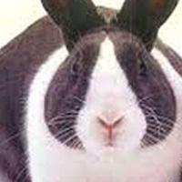 すすむちゃん＠投資家 (@7hkadyl7) 's Twitter Profile