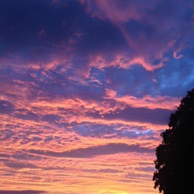 rolyhorwood's profile picture. 👍🏻