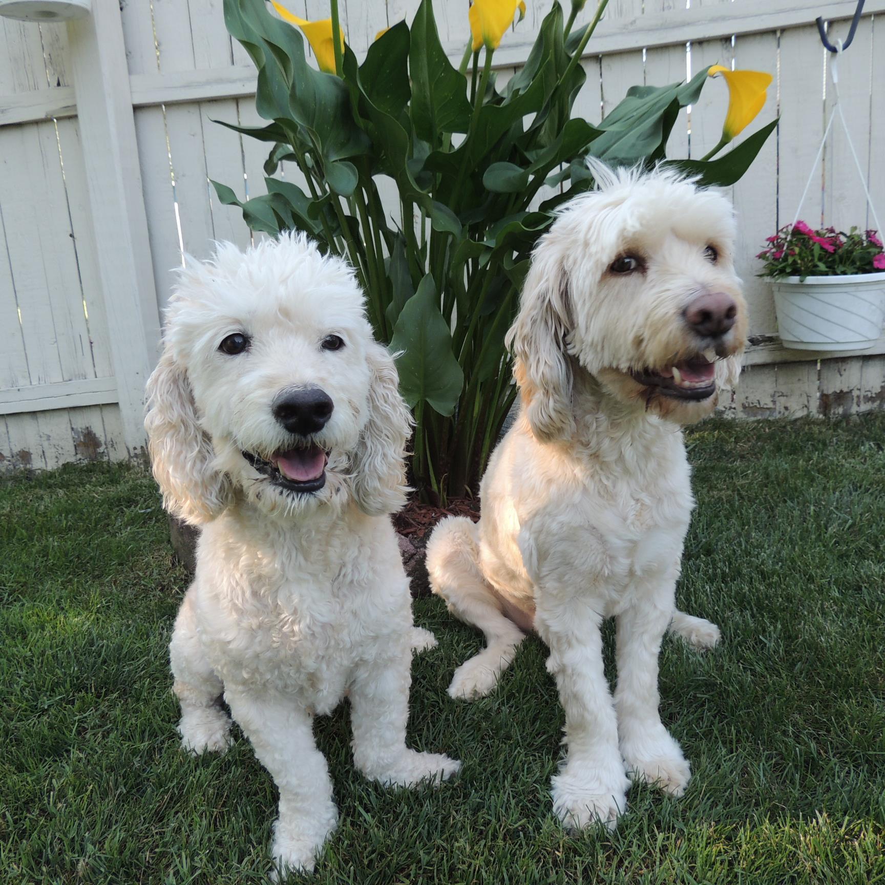 kimberlysentek's profile picture. Published children's book author, loves sports, music, my family, friends, dogs, and Bon Jovi. (Did I mention I am a Jersey girl?!)