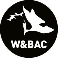 Wolves & Bilston AC (@wolvesbilstonac) 's Twitter Profile Photo