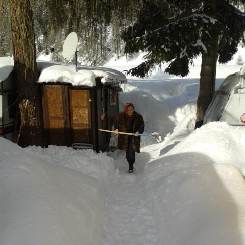 ideaarmony's profile picture. 