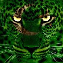 CTAnalyst1's profile picture. Terrorism - Extremism Analyst   |    Strategic Affairs Analyst   |   Political Analyst   |   Foreign Policy Advisers   {Pakistan Affairs Foundation}