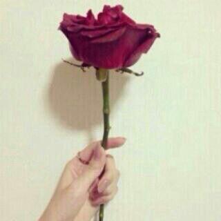 ‏‏‏‏‏‏‏‏‏،،،سبحان الله وبحمده سبحان الله العظيم،،،