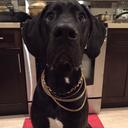 Tom Pepper - @Mrpepper1Tom - Twitter