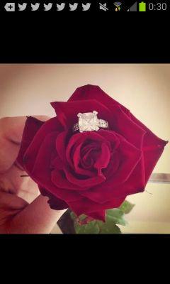 stella_topo's profile picture. 