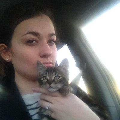 Cats are therapeutic