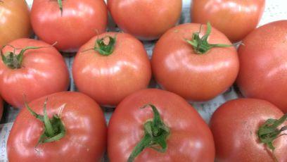 meltykiss1992's profile picture. 