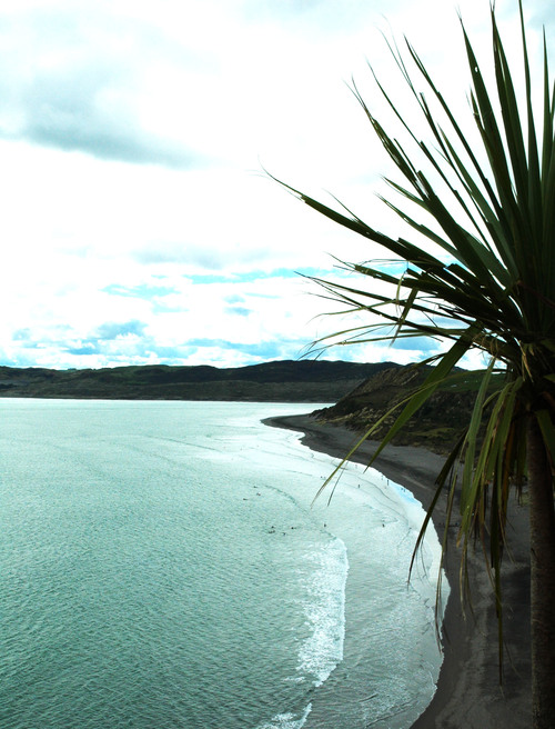 raglanchronicle's profile picture. 