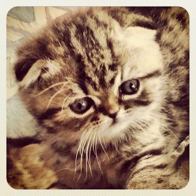 MartaVeraValles's profile picture. Todo es posible