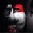 Muscle_asylum's profile image