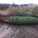 Robert Paden - @Paden1M - Twitter