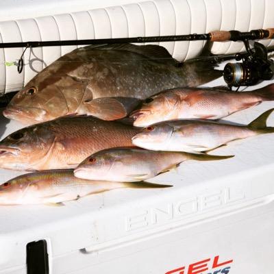 florida fishing #saltlife #run that dog #mullet run #penn #shark fishing. #chew on this #btc #worship Drummer