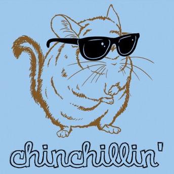 Competitive Advanced Warfare player | Xbox One | Clan: Da Real Squad | 4v4's? DM me | Gamertag: NubbyChinchilla | Twitch: NubbyChinchilla1