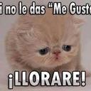 maicol david manco  - @maicol35487 - Twitter