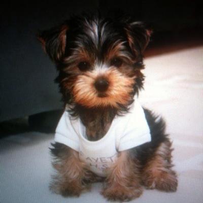 carebearnorth's profile picture. -UK- 
traveller 
searching for treasure