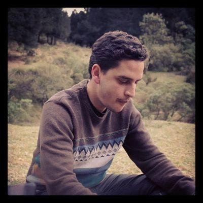 girassh's profile picture. Diáfano