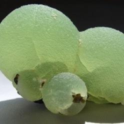古生物と鉱物が好きです！知識少なくてごめんなさい...orz 鉱物集めたいけどお金足りない...(´･ω･｀)