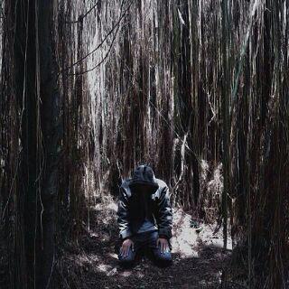 GURAME IS BACK #1933.                                               Jayalah PERSIBKU!!
