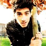 zayn. that is all.