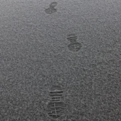 01XFade01X's profile picture. Follow me on YouTube for advanced warfare farcry4 nhl15 videos daily @01XFade01X gaming