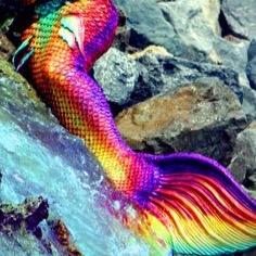 Mermaids, Alcohol, and Music. ☀️
