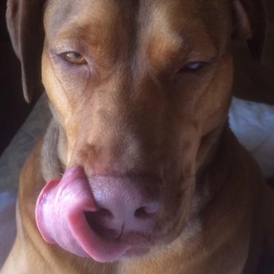 cyn_the_great Profile Picture