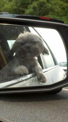 TheCaryCritics's profile picture. #lifecritics #bravocritics #foodcritics #pubcritics #ifyoudontknownowyouknow #gethydrated