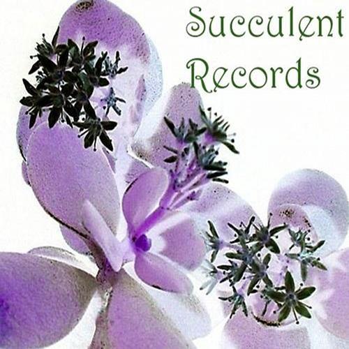 New England Music Label for Indie artists.  We mostly do Cassette releases, but sometimes cd, download, or Lp.