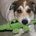 sharon lindquist - @sharebare23 - Twitter