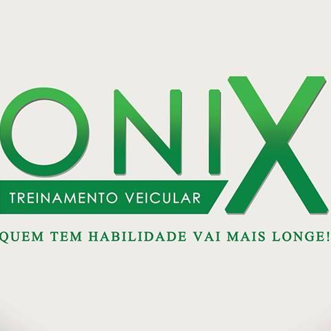 Treinamento de rampa, garagem, trajeto de trabalho, faculdade, marginais, baliza, rodovias, estradas e outros       55 11 2373-6693