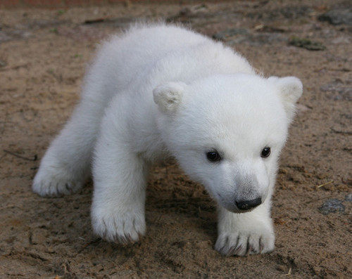 shu_sk_sj's profile picture. 