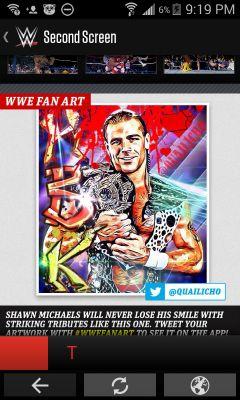 wwe guy forlife