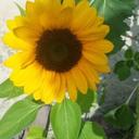 Maria Collazo - @MariaCo15074273 - Twitter