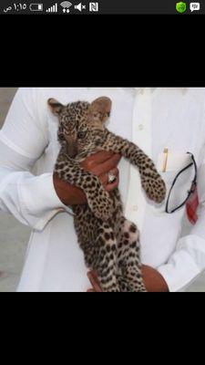 ffofo66829's profile picture. ‏قاسيه الحياه عندما نعيش  بدون أب .أبي