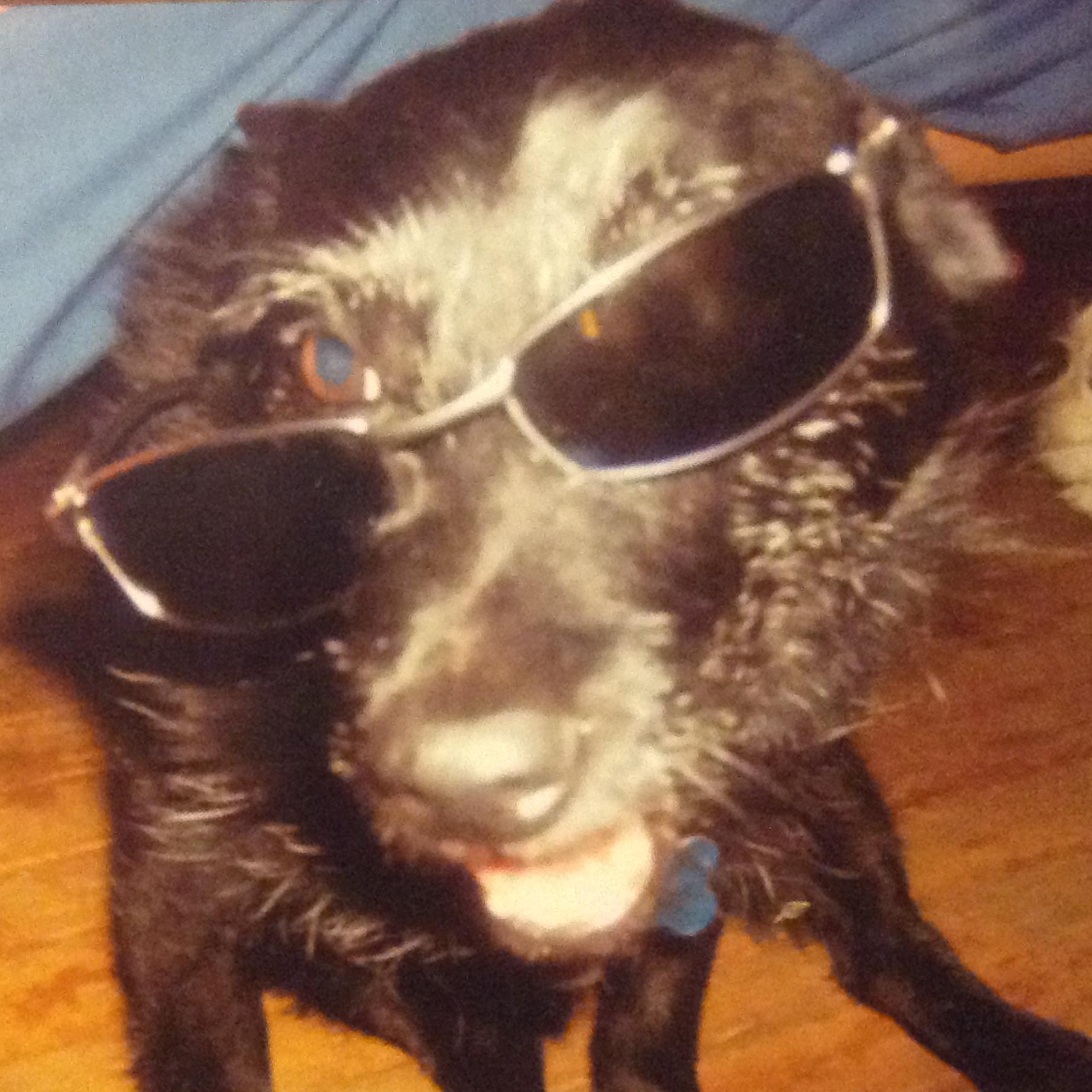 luffy_lover's profile picture. Keep those nipples calm. live yourself a good life, be chill, get a swell dog, and enjoy