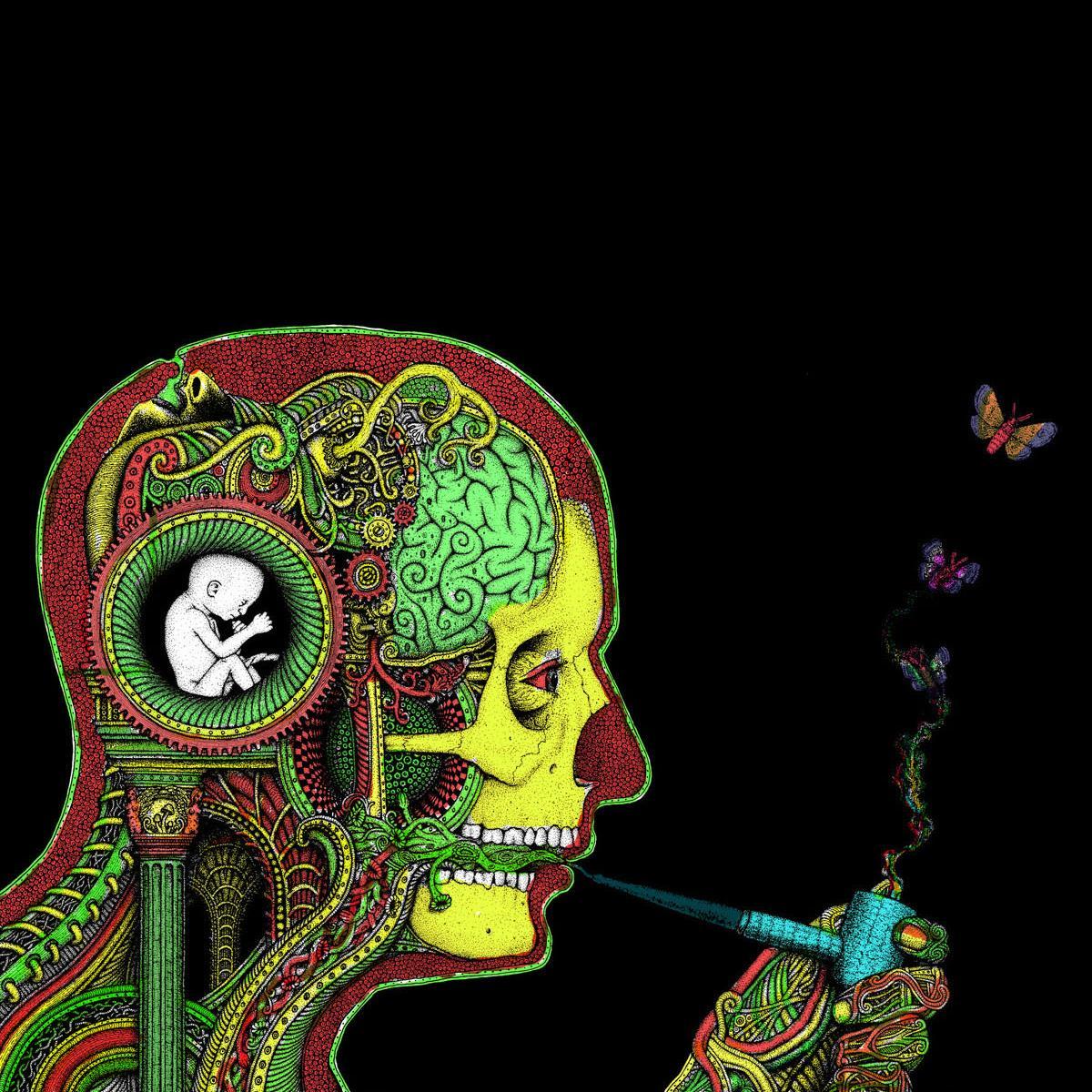 A real thinking mind, sharing philosophy, cool facts and knowledge to grow spiritually and mentally. A place to learn and discuss. Check out @TrippyArt!