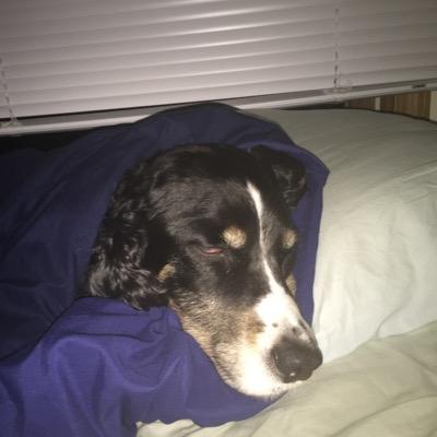 clayadamson10's profile picture. 