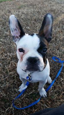 letyjrvaldez's profile picture. 